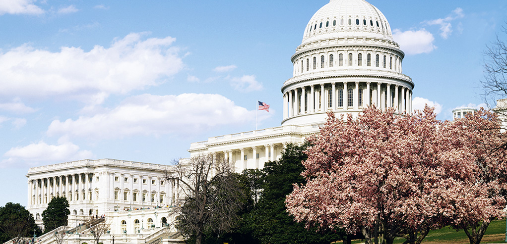 side view of the U.S. Capitol building with a cloudy sky and cherry blossom trees